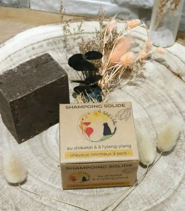 Shampoing solide bio pour cheveux normaux à secs de la Fabrik'à bulles - Moussant et démélant