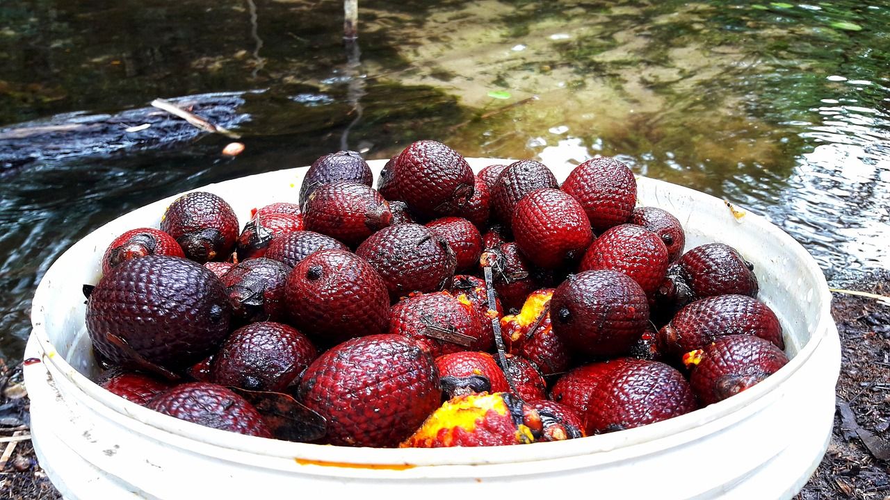 Buriti