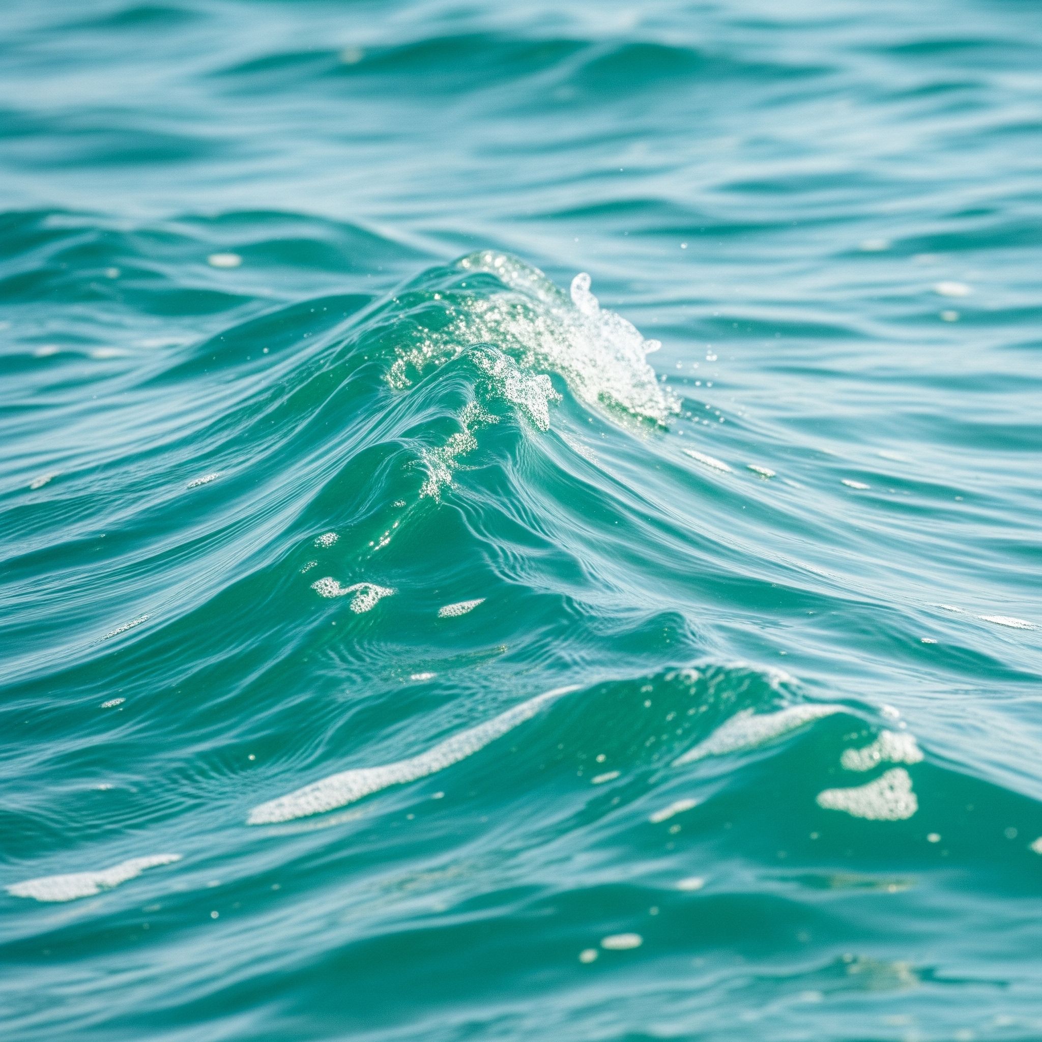 Eau de mer