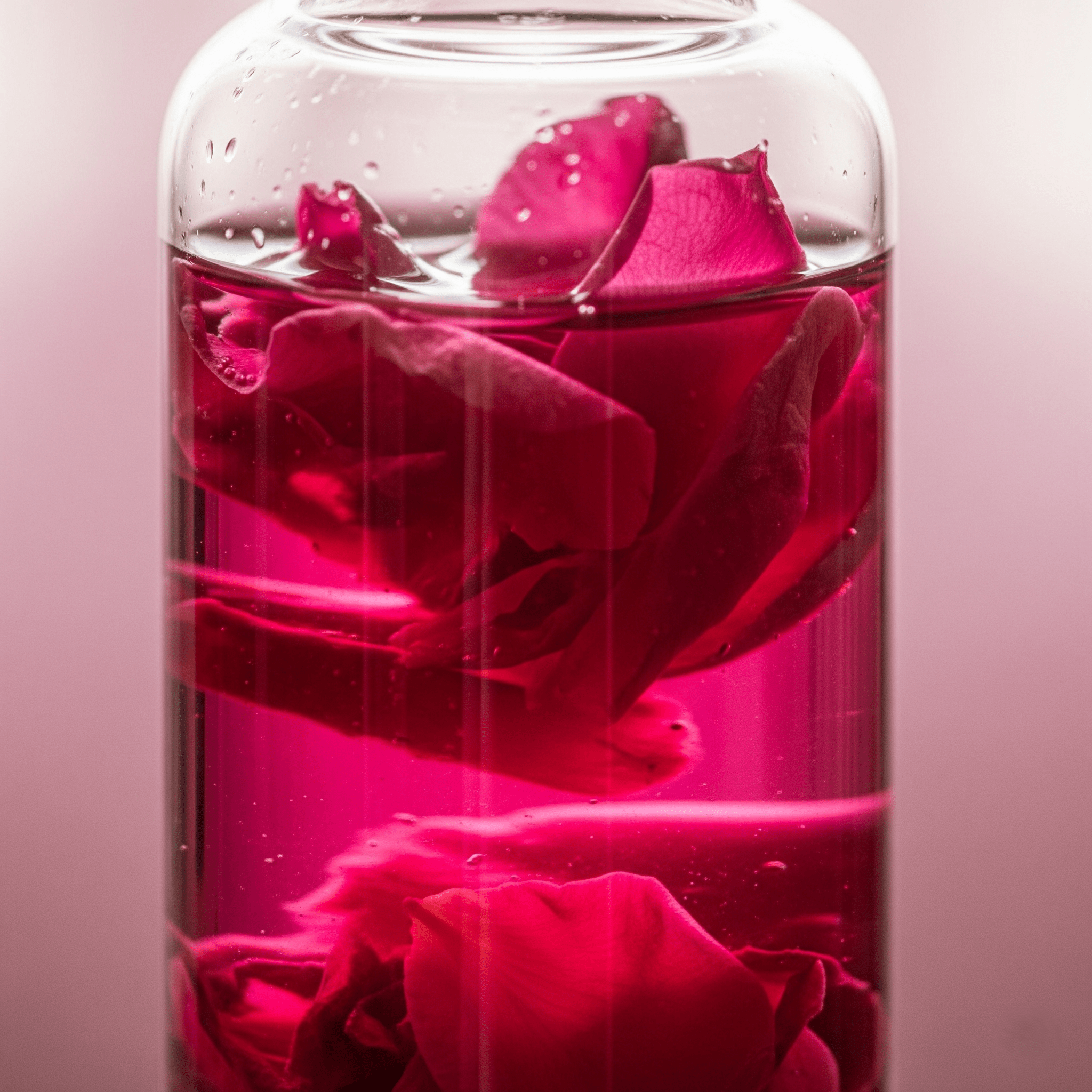 Extrait de rose