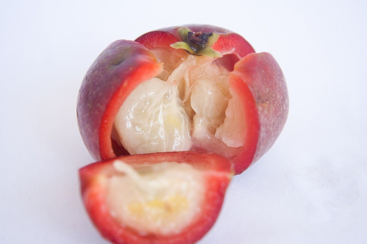 Kokum