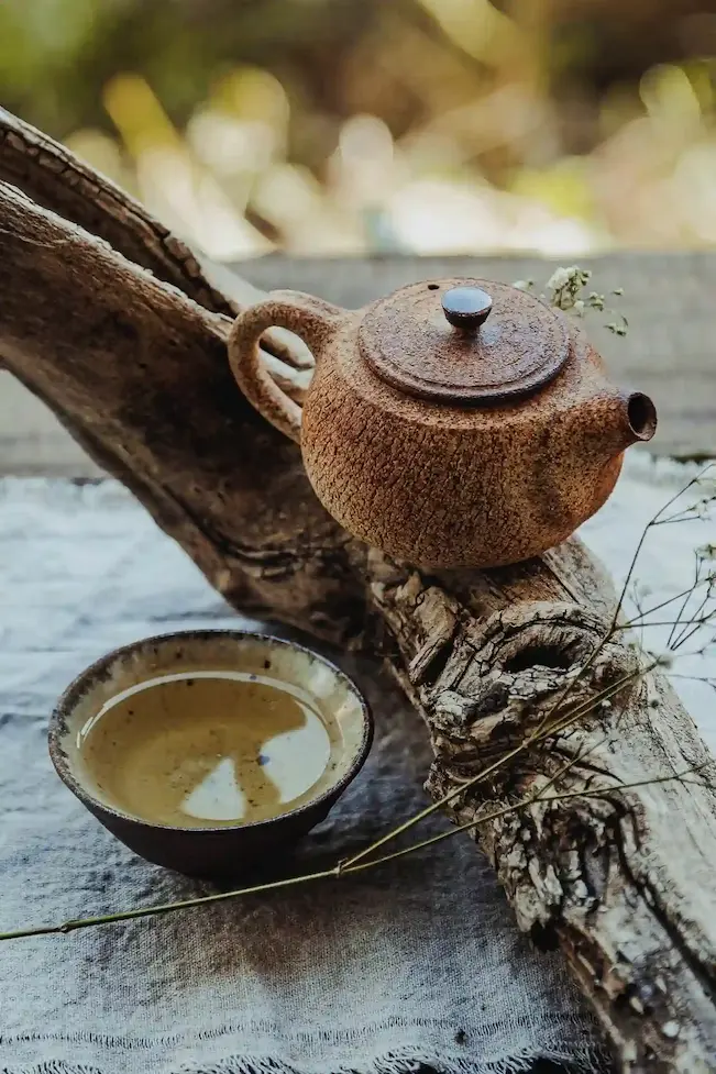 Thés, tisanes, rooibos, matés