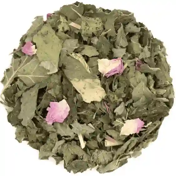 Tisane Des jambes si légères