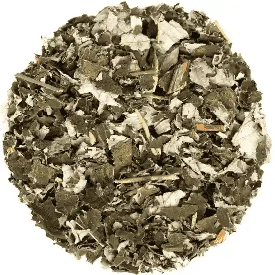 Infusion de feuilles de framboisier