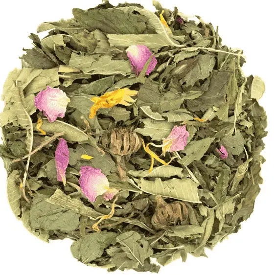 Tisane La potion de fée Mélusine
