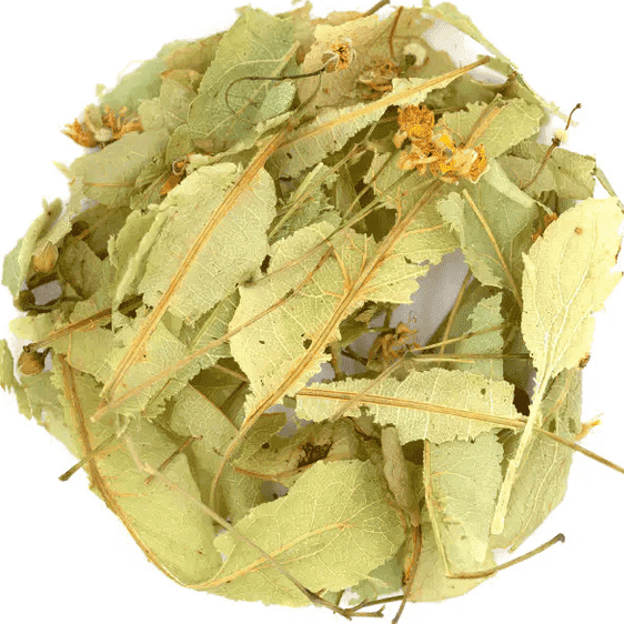 Tilleul