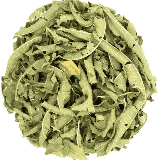 Tisane Verveine
